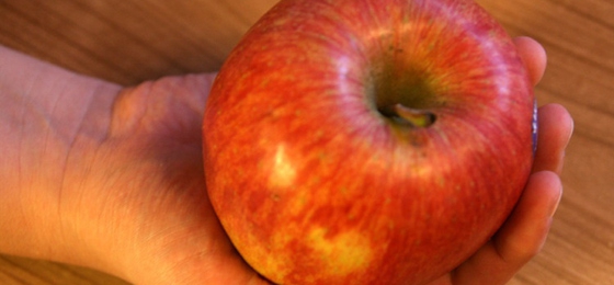Es ist ein Apfel: Run auf den Nichtskönner iPad gestartet