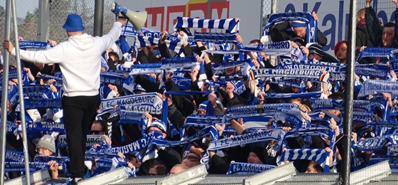 Würzburger Kickers vs. 1. FC Magdeburg: Überzeugender Auftritt der FCM-Fans