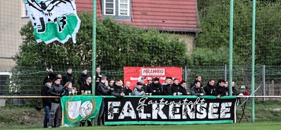 Aktive Fanszene beim SV Falkensee-Finkenkrug: Seite an Seite trotz verschiedener Farben