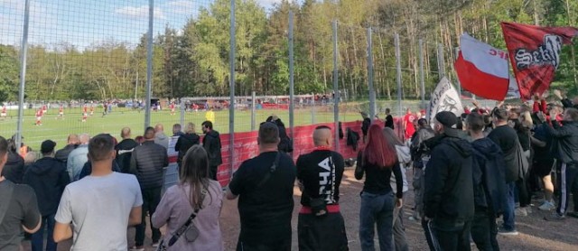 Westerhausen vs. Hallescher FC: Finaleinzug im Harzer Nadelgehölz